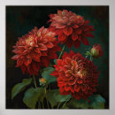 Recherche de fleur de dahlia posters Pour tous