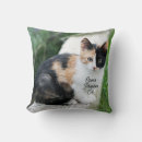 Recherche de fantôme drôle coussins Chat