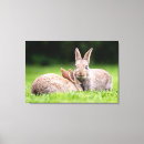 Zoek naar konijnen kunst Wilde dieren