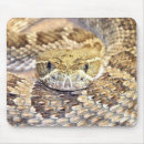 Recherche de sonnet tapis souris Reptile