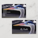 Recherche de héros cartes visite Oiseaux