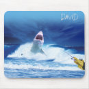Recherche de requins tapis souris Nautique