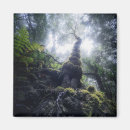 Recherche de moser magnets Nature