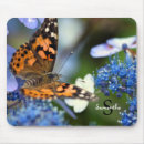 Recherche de insecte dame tapis souris Pour tous