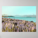 Recherche de de lupin posters Lupins