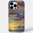 Zoek naar sunset iphone hoesjes Palmbomen