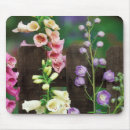 Recherche de nancy tapis souris Superstock