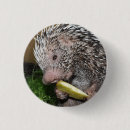 Recherche de brésilien badges Animal