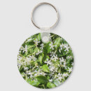 Recherche de jasmine porteclés Fleurs de jasmin