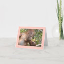 Recherche de orang outan vœux cartes Photographie