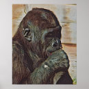 Recherche de singes mignons posters Toute personne