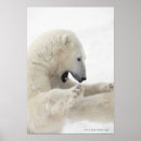 Recherche de risques posters Danger