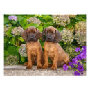 Recherche de hache posters Pour enfants