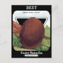 Recherche de betteraves cartes postales Jardinage
