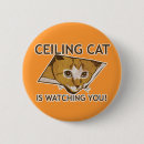 Recherche de chat de lol accessoires Humour