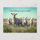 Recherche de sheep posters Laine
