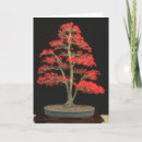 Zoek naar bonsai boom kaarten Natuur