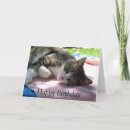 Recherche de table anniversaire cartes Chat