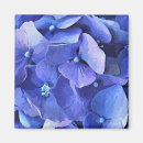Recherche de hortensia magnets Bleu