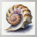 Recherche de créatures de vie marine posters Animaux aquatiques