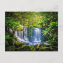Recherche de beau cheval cartes postales Nature