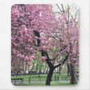 Recherche de fleurs cerisier tapis souris Rose