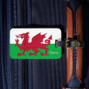 Recherche de pays galles accessoires Drapeau souli
