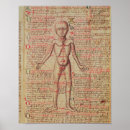 Recherche de médecine médiévale posters 15ème
