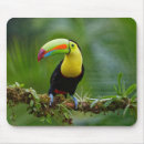 Recherche de oiseau tropical tapis souris Coloré