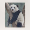 Recherche de bear puzzles Zoo