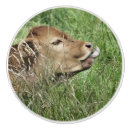Recherche de vache boutons et poignées de porte Mignon