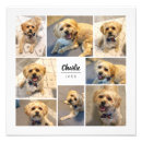 Recherche de moderne chat art Mignon