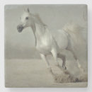 Recherche de troupeau chevaux de dessous de verres Sauvage