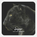 Recherche de poma Jaguar