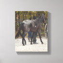 Zoek naar amish kunst Paard