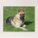 Zoek naar german shepherd puzzels Canine