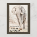 Recherche de chobe cartes postales Animal