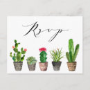 Recherche de plante gras Aquarelle