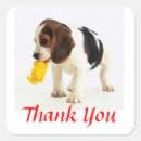 Recherche de chiot beagle autocollants Amour