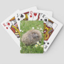 Recherche de hérisson jeux de cartes Nature