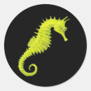Recherche de seahorse autocollants Cheval
