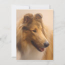 Recherche de brut vœux cartes Animal
