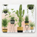 Recherche de oasis tapis souris Plante