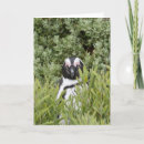 Recherche de africains vœux cartes Pingouin