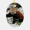 Recherche de panda rouge ornements Ours