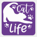 Recherche de cat autocollants Patte