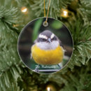 Zoek naar vogels ornamenten Schattig