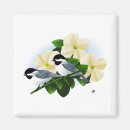 Recherche de poule petite magnets Animaux