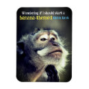 Zoek naar aap magneten Wild