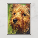 Recherche de visage de chien cartes postales Dog